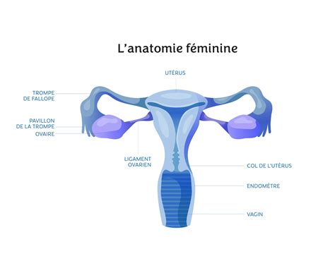 la reference du sexe